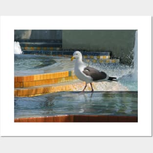 Seagull strut Posters and Art